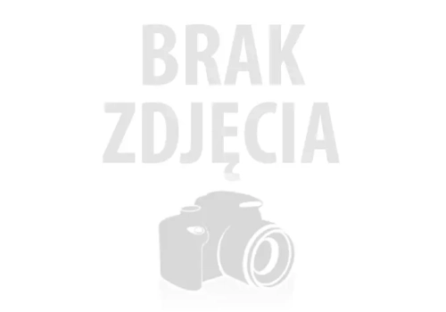 Usługa transportu firmowego